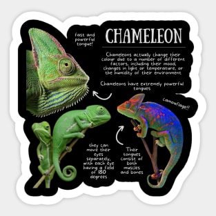 Animal Facts - Chameleon Sticker